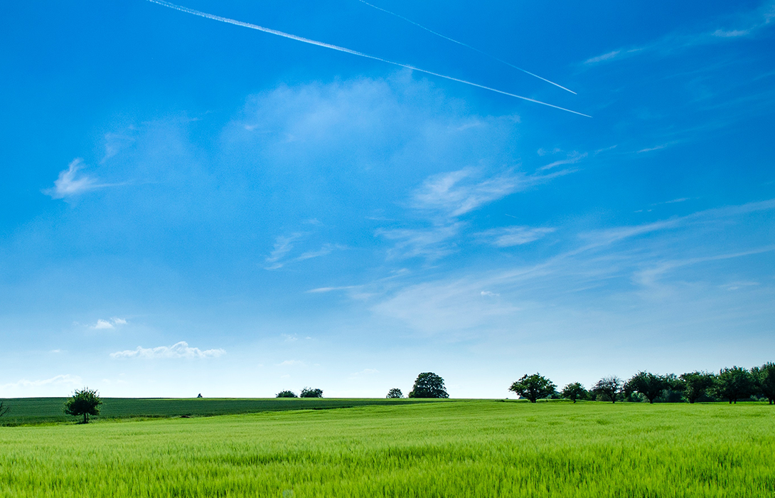 在线人人车操人人看视频